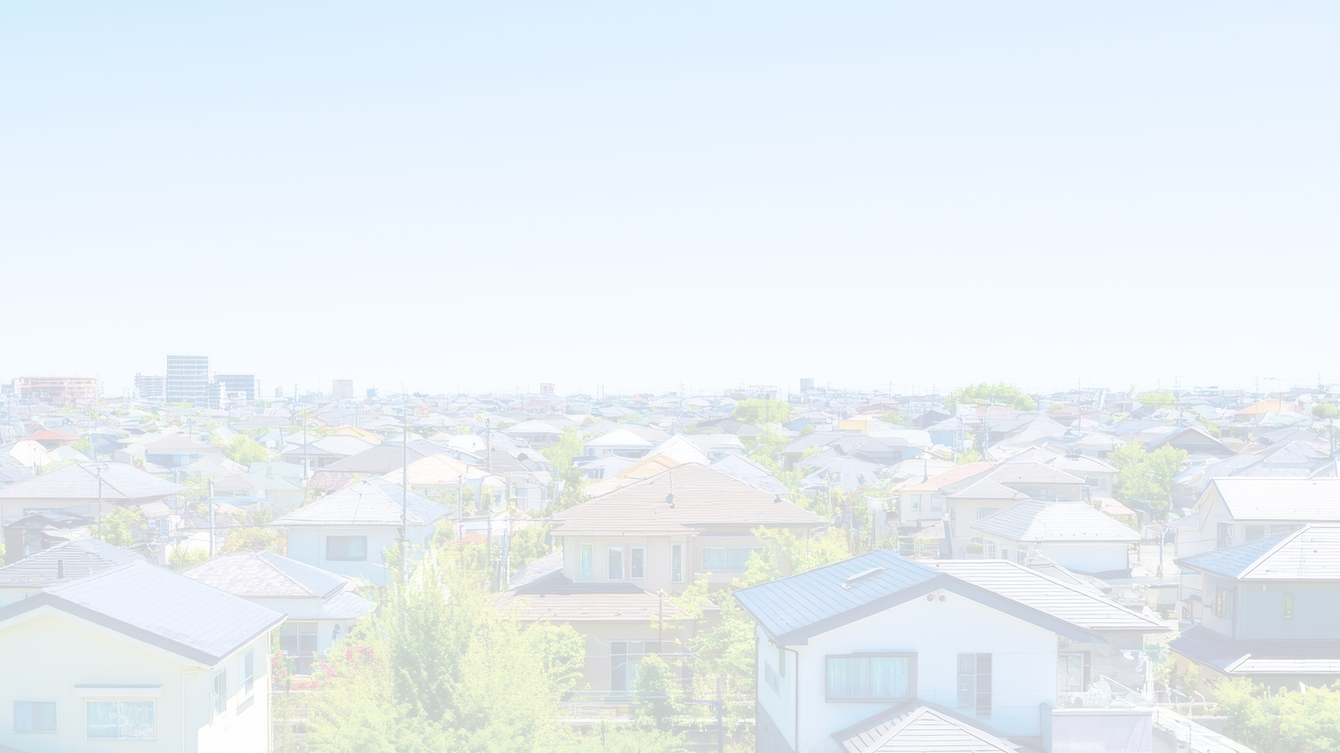 新着情報